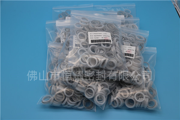 HOB、HVB孔用泛塞封 (17)