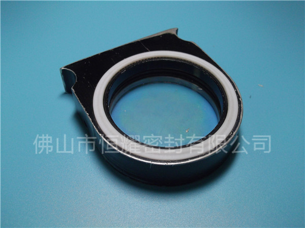 HVF、HVG端面內、外向泛塞封 (2)