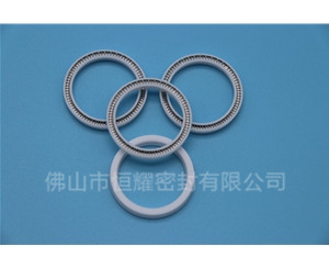 HOA、HVA軸用泛塞封 (13)