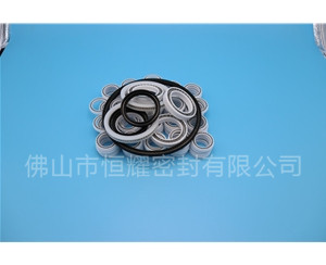 HOB、HVB孔用泛塞封 (7)