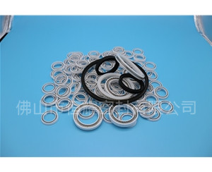 HOB、HVB孔用泛塞封 (8)