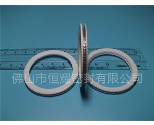 HVF、HVG端面內、外向泛塞封 (10)