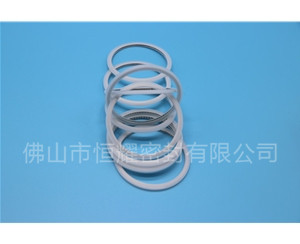 HVF、HVG端面內、外向泛塞封 (15)