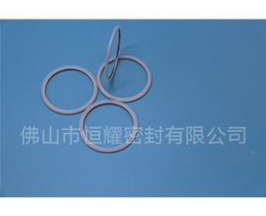 HVF、HVG端面內、外向泛塞封 (20)