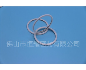 HVF、HVG端面內、外向泛塞封 (21)